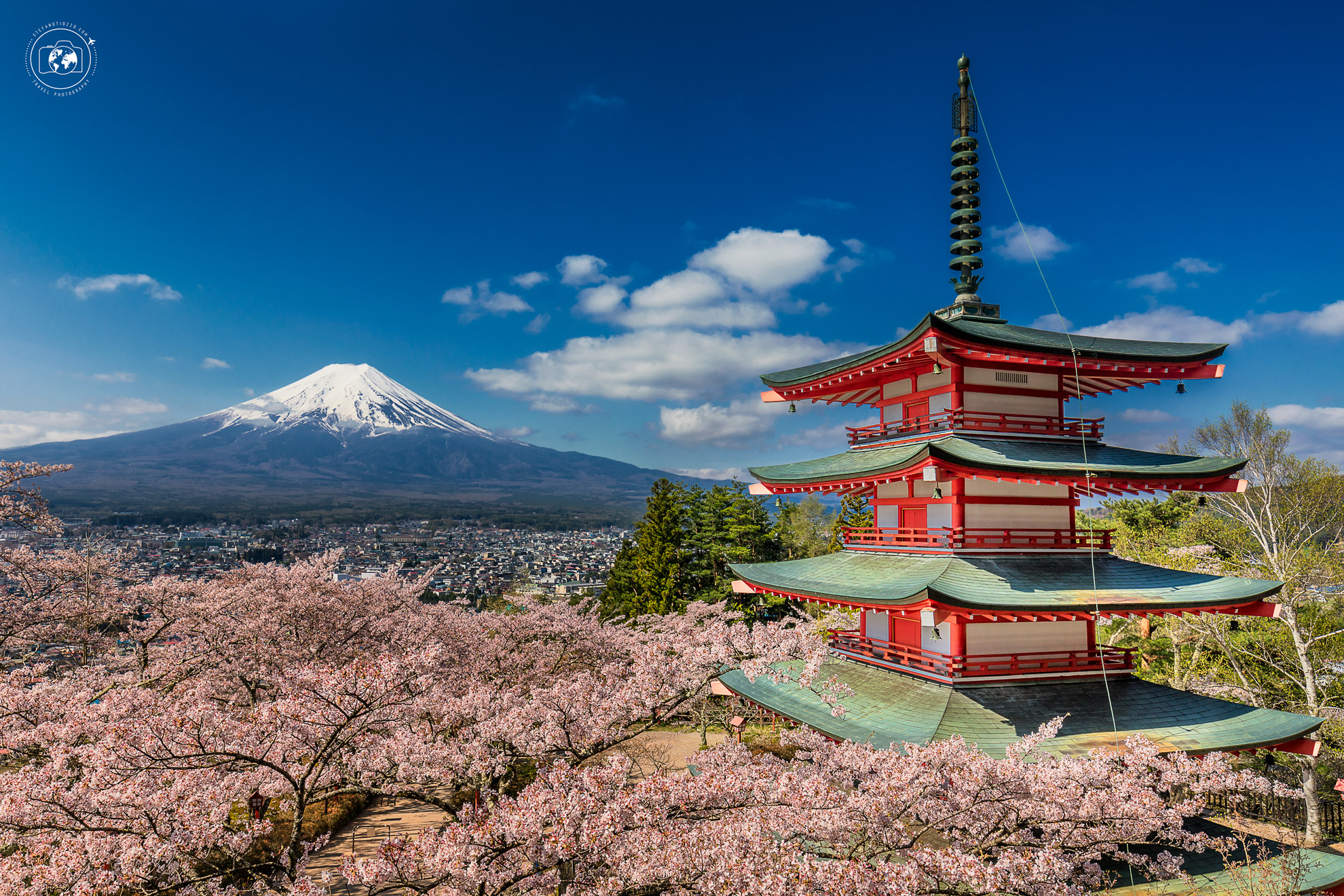 Chureito-Sakura